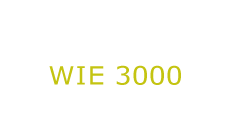 Logo 3000